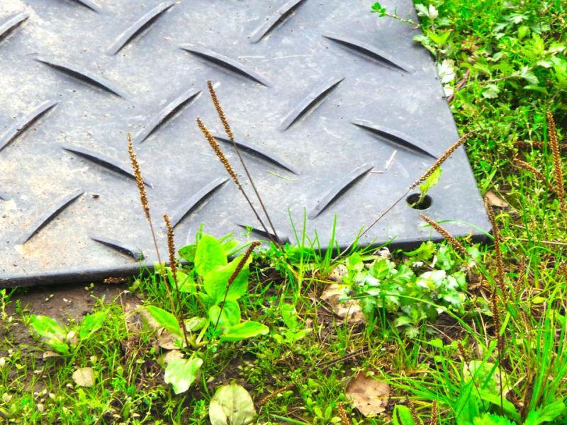 Mobile Baustraße als Zufahrtslösung für die DB Netz AG