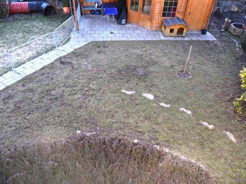 Rasennetz RN 1800 als Wühlschutz, Buddelschutz für den Hundeauslauf im Garten