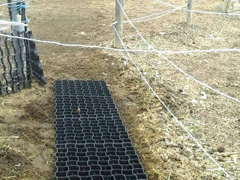 Bodengitter zur Befestigung des Fußweg zum Futterplatz & Unterstand für Pferde