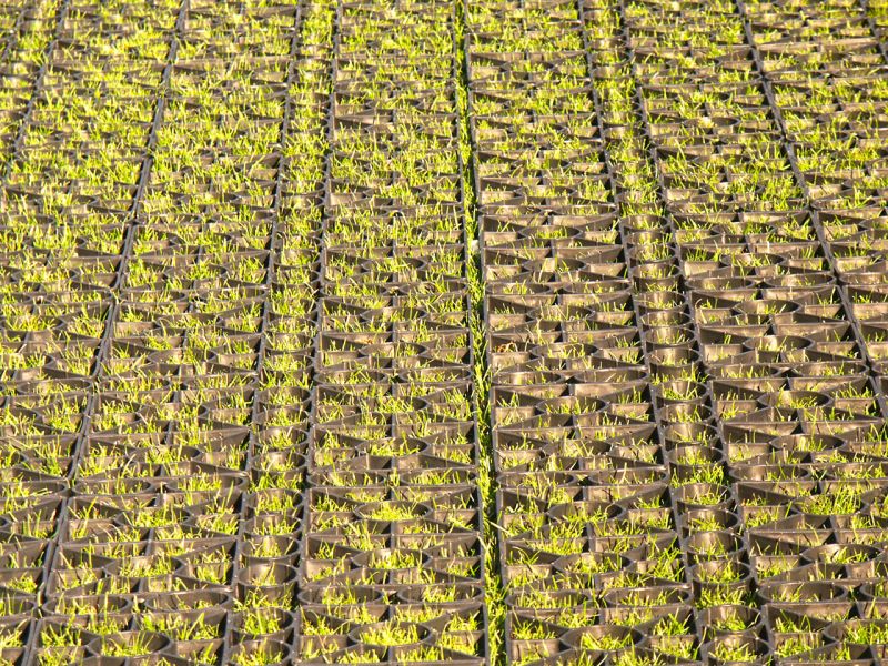 Rasenschutz für ein Event im Fussballstadion mit dem Rasengitter RG24