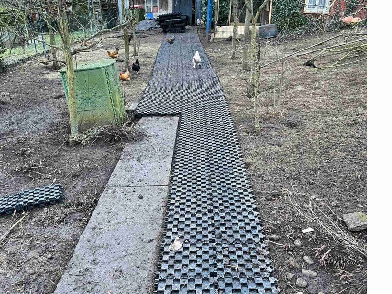 Sind Paddockplatten, die den Boden befestigen und abdecken, eine sinnvolle Lösung gegen das Aufwühlen und Scharren von Hühnern? Kurz und Knapp...