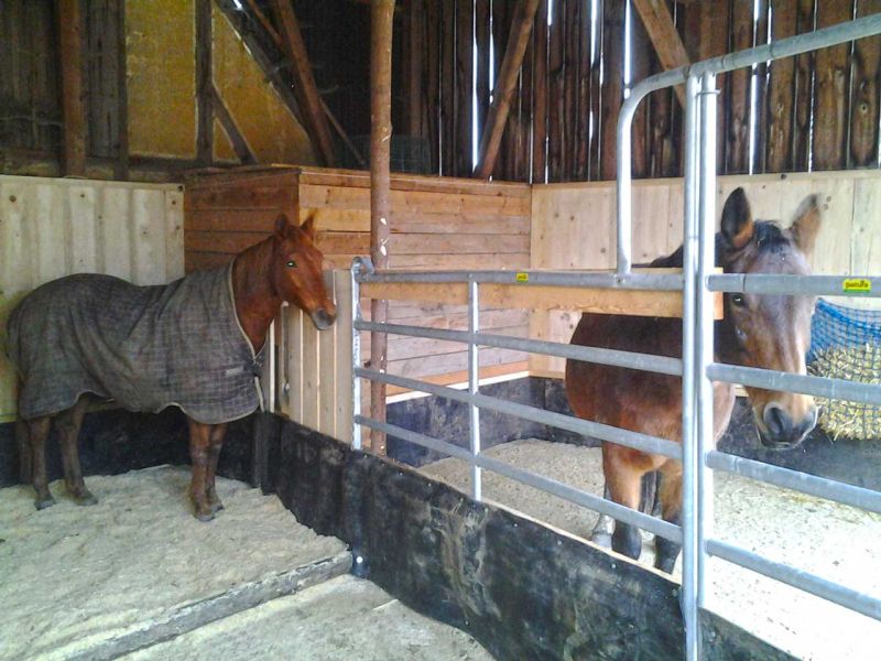 Bodengitter BG50 zur trittfesten Bodenbefestigung eines Roundpen / Führanlage