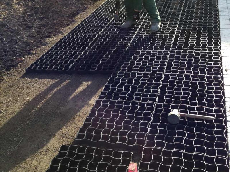 Bodengitter BG50 zur Herstellung eines zusätzlichen begrünten PKW Stellplatz