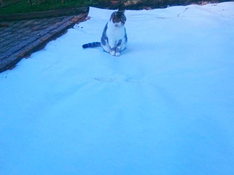 Offenstall und Boden befestigen mit Paddockplatte PP60