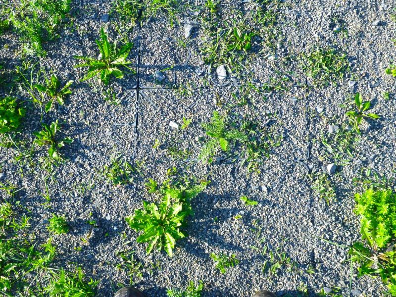 Bodenbefestigung eines Pferdeauslauf mit Weidezelt und Futterplatz