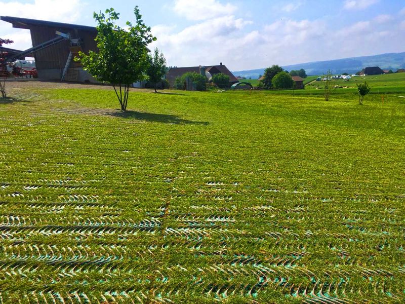 Rasennetz als Rasenschutz für eine Hühnerweide bzw. Hühnerauslauf