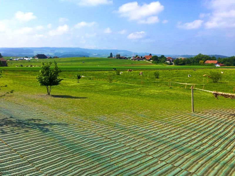 Rasennetz als Rasenschutz für eine Hühnerweide bzw. Hühnerauslauf