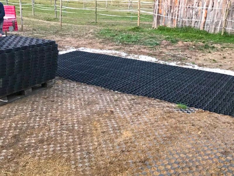 Effektive Bodenbefestigung eines Paddock mit dem Bodengitter BG50