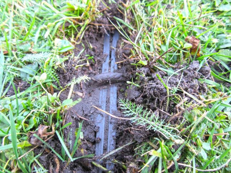 Rasengitter RG24 als nicht sichtbare Rasenverstärkung einer Nutzfläche