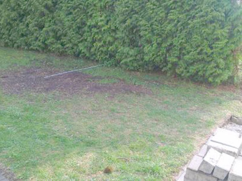 Umgestaltung einer Rasenfläche als zusätzlicher PKW Parkplatz mit dem Bodengitter BG50