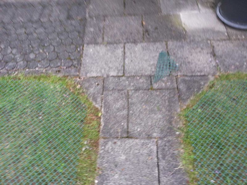 Rasennetz RN640 zur Rasenverstärkung und Rasenschutz im Garten und Hof