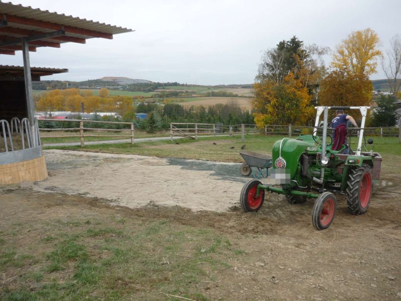 Paddockplatte pp60 für ein Profi Pferde paddock