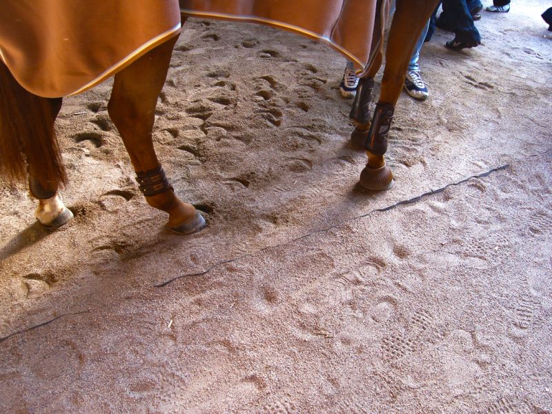 Bodengitter als Paddockplatte, Paddockgitter zur Pferdehaltung und Reitsport