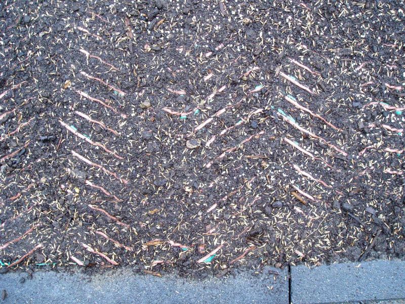 Rasenstabilisierung eines Grünstreifen im Bereich der Hofeinfahrt