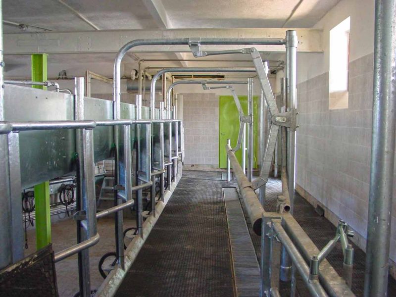 Bodenmatte aus Weich-PVC als Kuhmatte für Lauf,- Steh,- Liegeflächen in der Viehhaltung