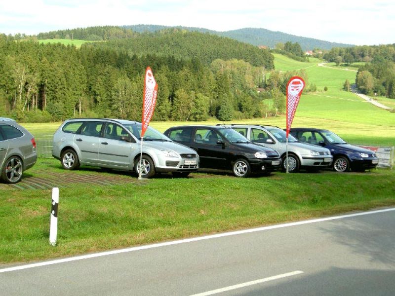 Rasennetz RN zur Rasenverstärkung der Ausstellungsfläche eines Autohauses