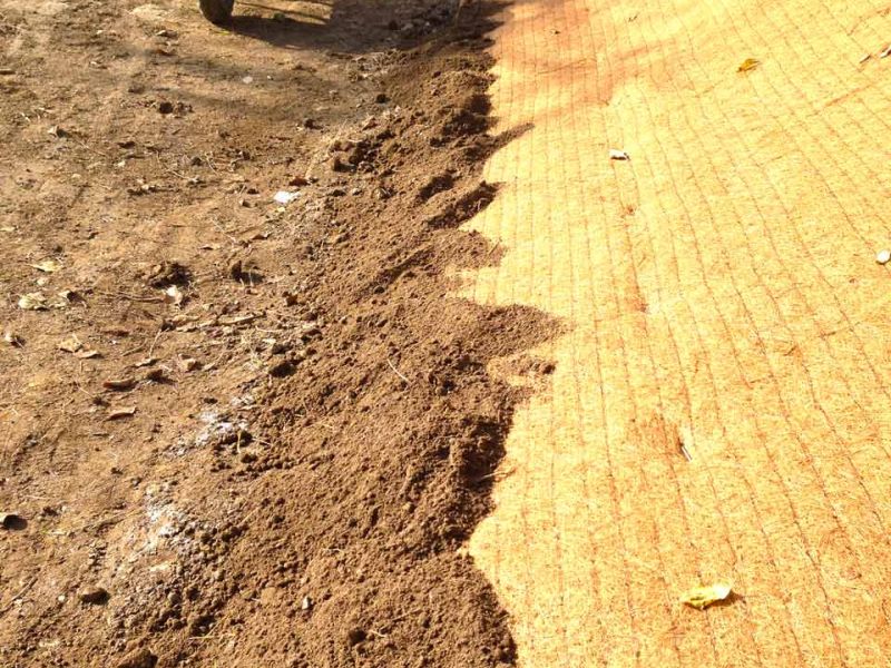 Verlegung der Mulchmatte Kokos MMK600 aus Kokos zur Hangbefestigung
