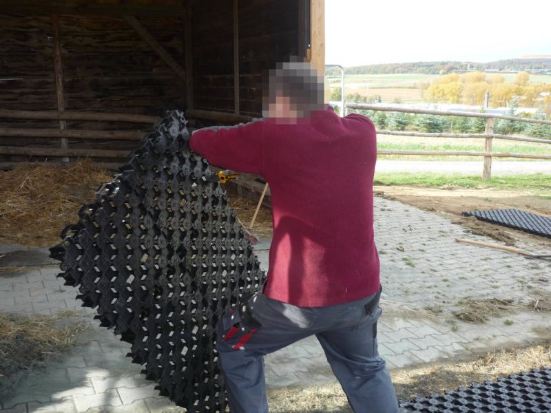 Paddockplatte pp60 für ein Profi Pferde paddock