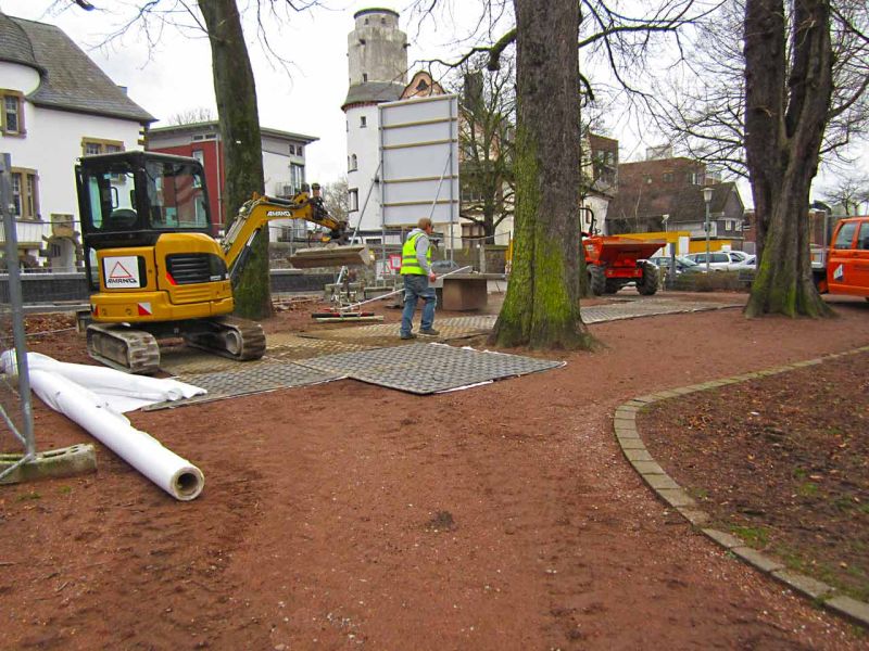 Sanierung einer Deichanlage - Wurzelschutz / Baumwurzelschutz