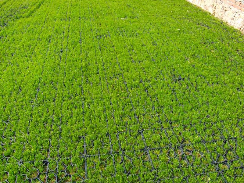 Rasengitter RG24 zur Stabilisierung eines Besucherparkplatz einer Kirche