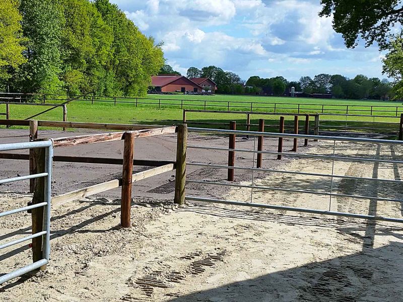 Eingezäuntes Pferde-Paddock mit sandigem Boden