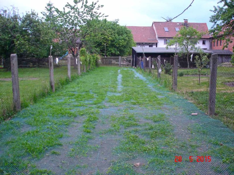 Rasennetz als Wühlschutz und Buddelschutz für Hühner in der Freilandhaltung