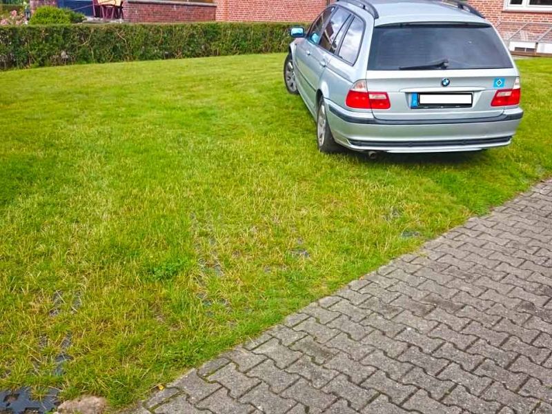 Ein silbernes Auto steht auf einem Rasen-Parkplatz. Im Hintergrund sind eine Hecke und ein Haus zu sehen.