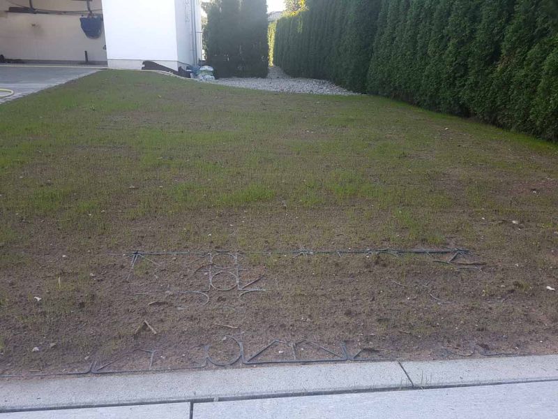 Ein Rasengitter-Parkplatz mit keimendem Gras. Die Rasengitter RG24 sind teils sichtbar. Im Hintergrund eine hohe Hecke, Kiesfläche und eine offene Garage am Haus.