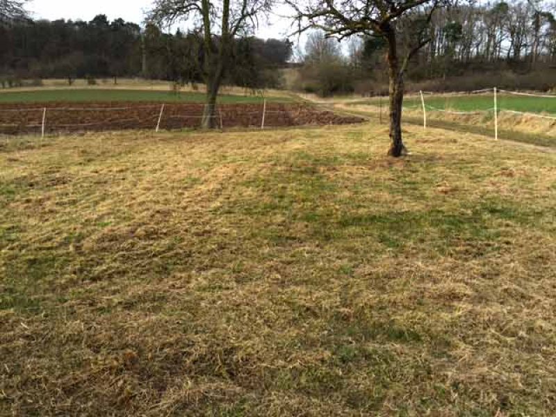 Bodengitter BG50 für ein Pferdepaddock selbst verlegen und verfüllen