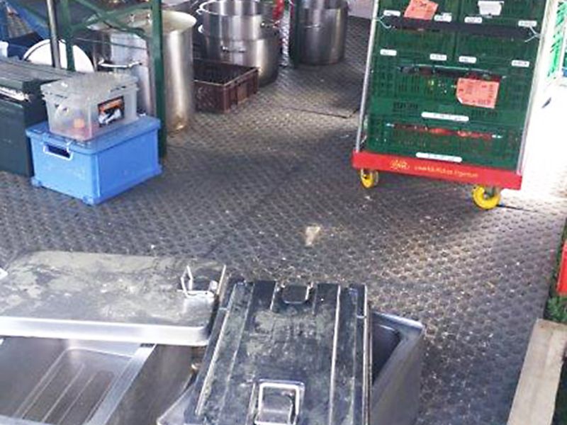 DPSG feiert „Leuchtfeuer“ 2018 in Westernohe bei Limburg