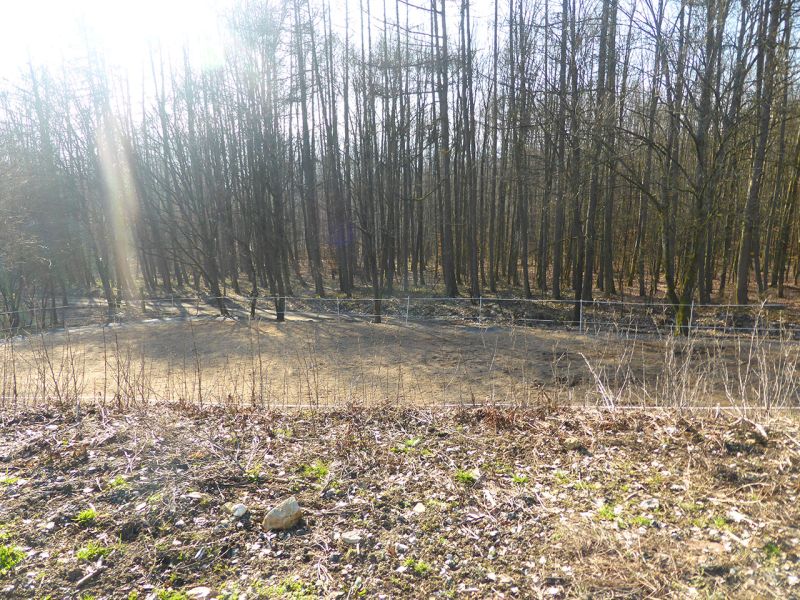 Update zu unserem Artikel "Befestigter Freilauf bei einer Pferdepension mit der Paddockplatte PP60"