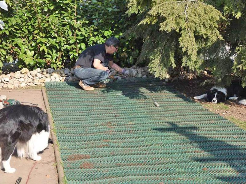 Rasennetz RN 1800 als Wühlschutz, Buddelschutz für den Hundeauslauf im Garten