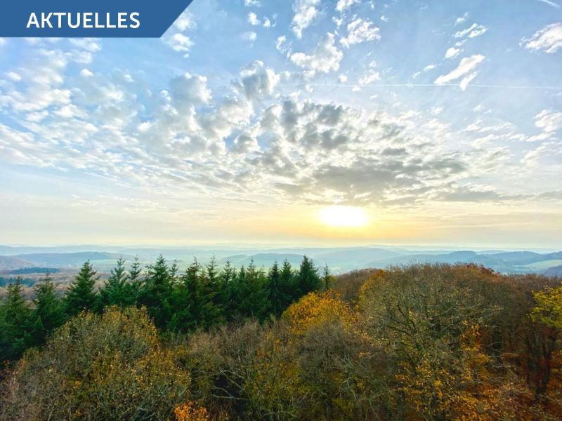 Investitionsprogramm Wald - Bis zu 40% Zuschüsse für Bodenschutzplatten von Securatek - BMEL Positivliste Rentenbank Förderung