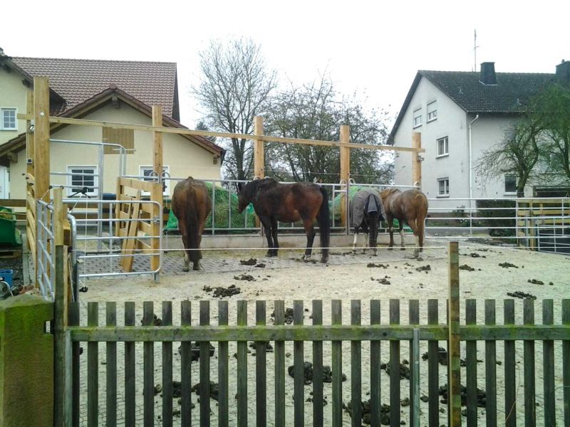 Bodengitter BG50 zur trittfesten Bodenbefestigung eines Roundpen / Führanlage