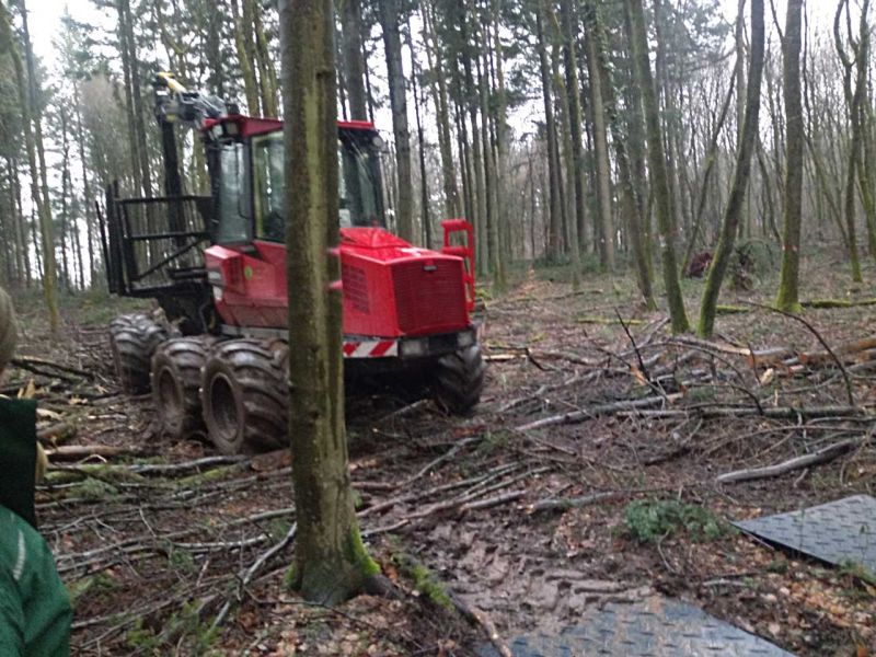 s:tek Hochleistungs - Bodenschutzplatten zur bodenschonenden Holzernte in der Waldarbeit und Forstwirtschaft bzw. Waldtechnik und Fortsttechnik