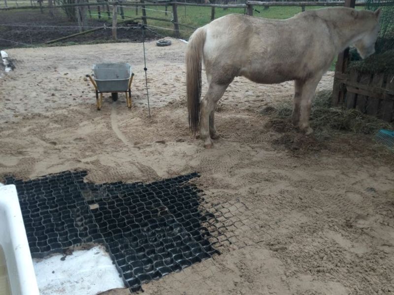 Matsch & Schlamm Ade. Das Paddock versinkt im Matsch, Pferde stehen im Schlamm. Das muss nicht sein, Bodengitter und Trennvlies von Securatek lösen das Problem!