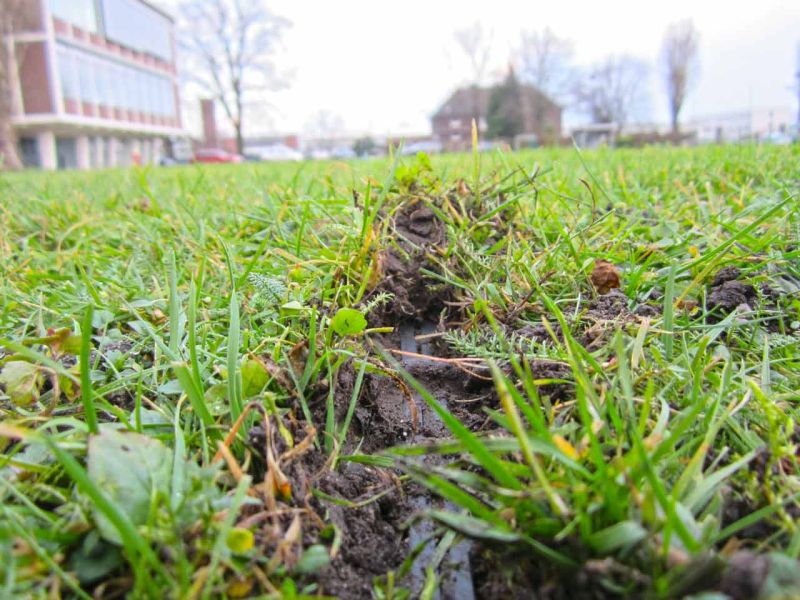 Rasengitter RG24 als nicht sichtbare Rasenverstärkung einer Nutzfläche