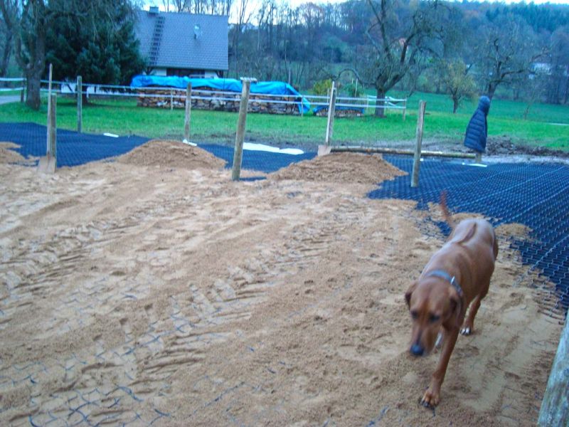 Bodengitter BG50 ohne Unterbau für ein Paddock / Offenstall selber verlegen