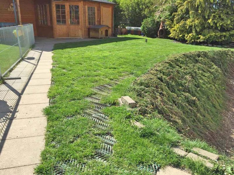 Rasennetz RN 1800 als Wühlschutz, Buddelschutz für den Hundeauslauf im Garten