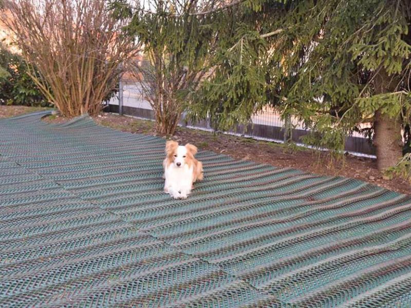 Rasennetz RN 1800 als Wühlschutz, Buddelschutz für den Hundeauslauf im Garten