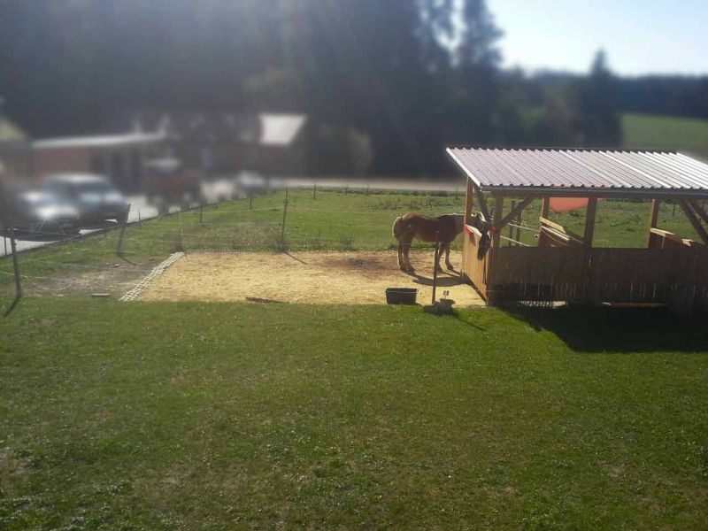 Herstellen eines Pferdepaddock ohne Unterbau mit dem Bodengitter BG30