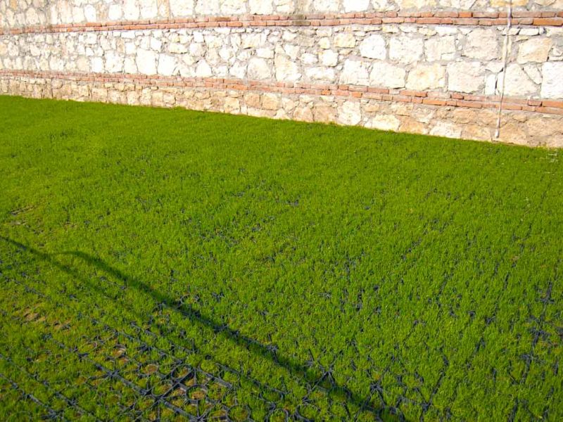 Rasengitter RG24 zur Stabilisierung eines Besucherparkplatz einer Kirche