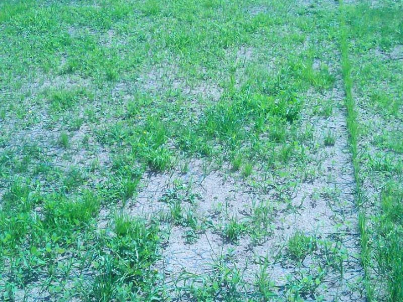 Rasengitter RG24 zur Rasenverstärkung gegen Spurrillen und Matsch im Garten