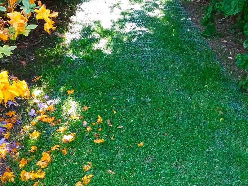 Rasennetz RN zur Rasenverstärkung und rutsch Festigkeit für einen Mähroboter