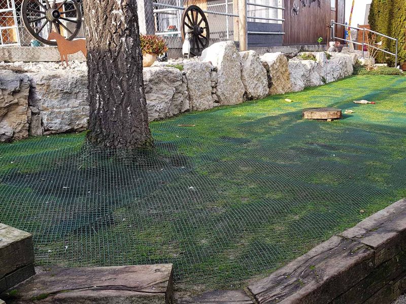 Hunde wühlen & buddeln gerne, leider auch im eigenen Garten. Hier sehen Sie wie man man einen Rasen bzw. Wiese vor Wühl & Buddelattacken effektiv schützt...