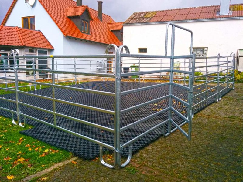 Verwandlung von 80m² Rasenfläche in ein matschfreies Pferdepaddock