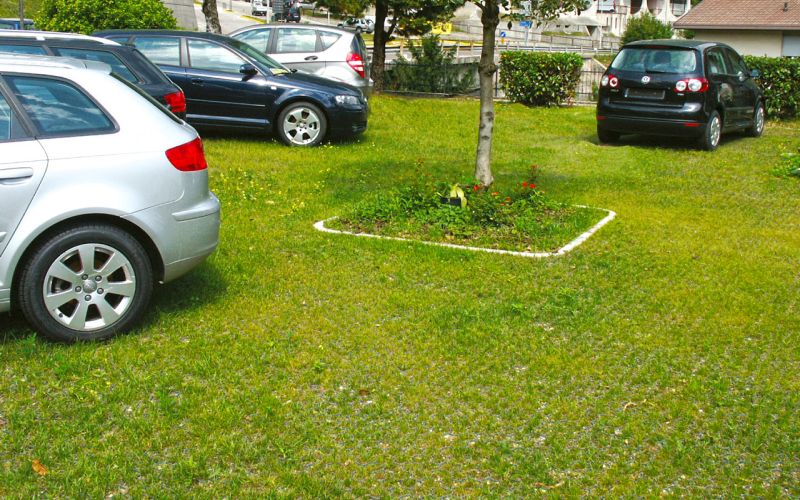 rasenwabe rw40 pkw parkplatz rasen 001 referenz
