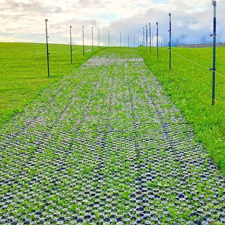 Ankergitter AG60, 400 x 400 x 60 mm, 0,9 kg. Bodengitter mit integrierten Ankerelementen, Drainagefunktion & extremer Lastverteilung. Profilierte Oberfläche.