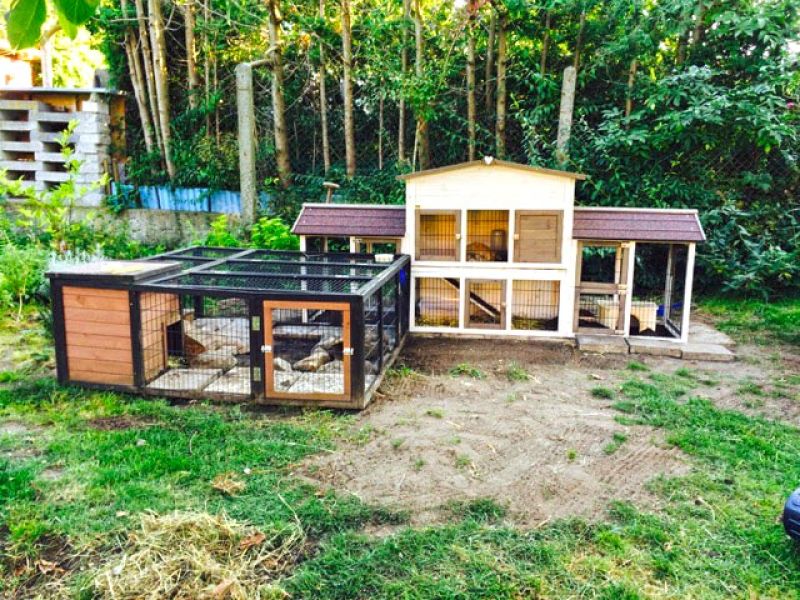 Kunststoff Rasengittersteine als Buddelschutz / Wühlschutz für Kaninchen