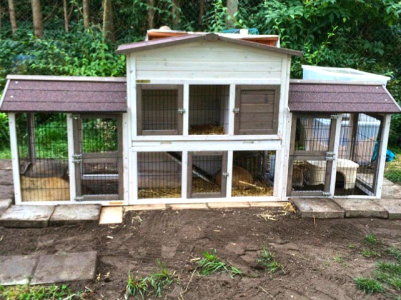 Kunststoff Rasengittersteine als Buddelschutz / Wühlschutz für Kaninchen